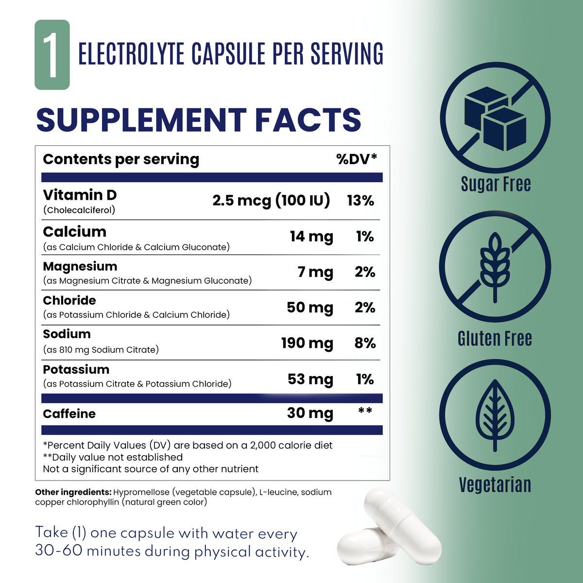 saltstick caps plus supplement facts panel