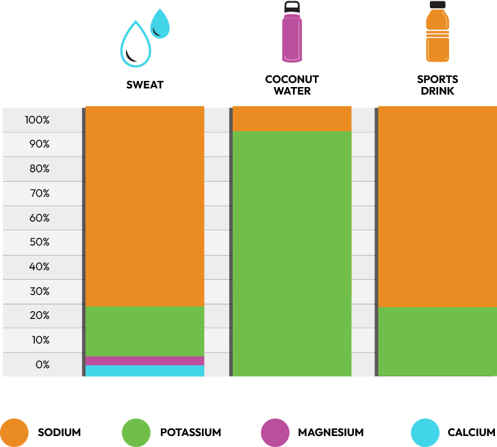 Chart comparing the electrolyte content of sweat with coconut water and sports drink to show that neither product matches the electrolyte ratio of sweat 