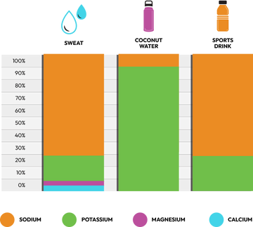 Chart comparing the electrolyte content of sweat with coconut water and sports drink to show that neither product matches the electrolyte ratio of sweat 